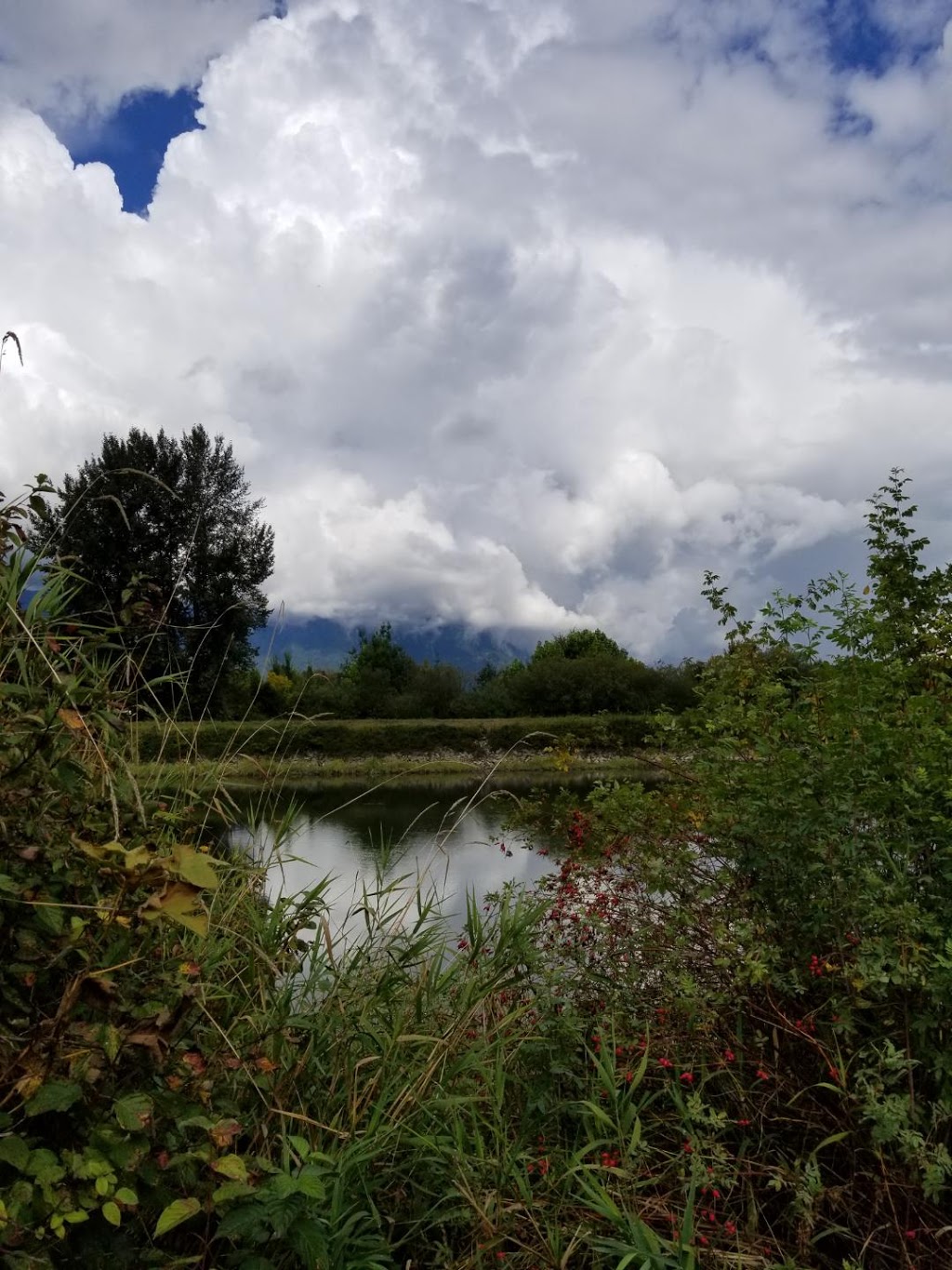 Pitt Meadows Dyke Trail System | 1Z1, Trans Canada Trail, Pitt Meadows, BC V3Y 1Z1, Canada