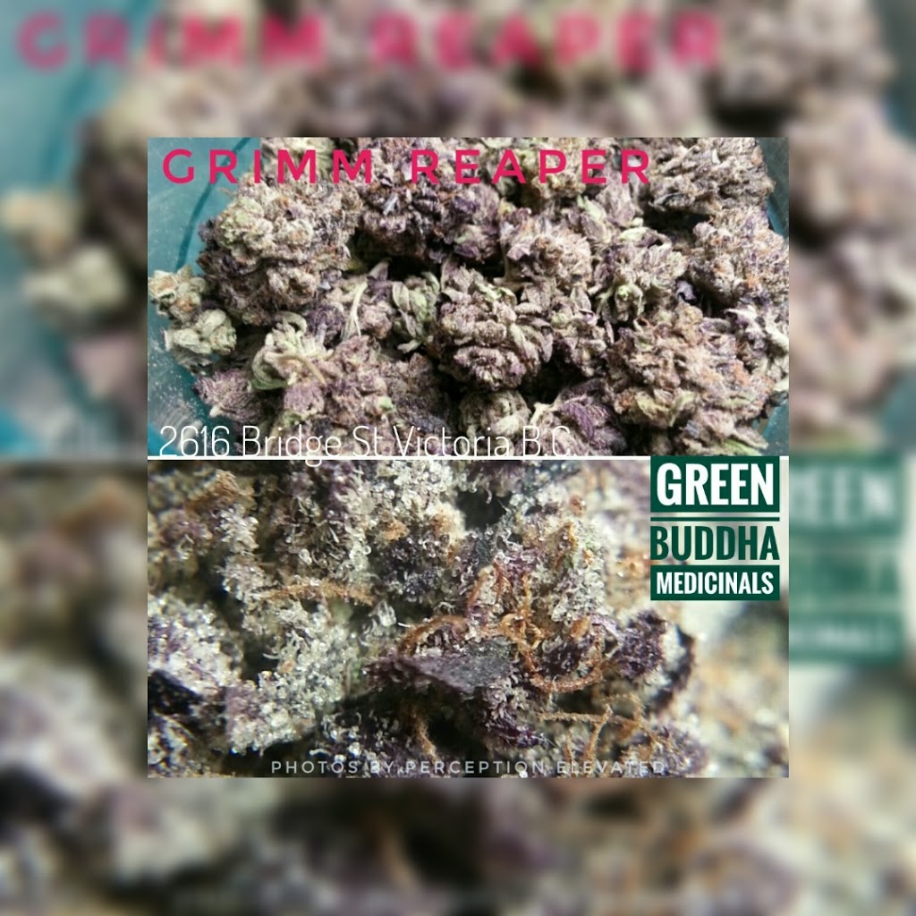 Green Buddha Medicinals | 2616 Bridge St, Victoria, BC V8T 4S9, Canada | Phone: (778) 265-5935