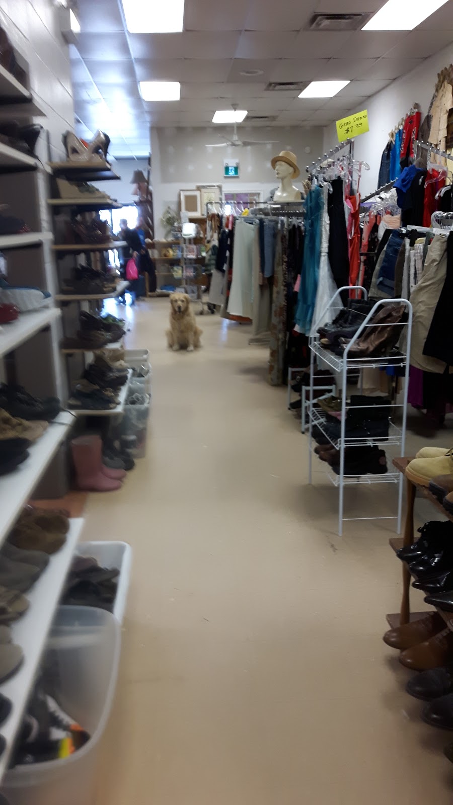 Paws & Claws Thrift Store Shelburne (supporting Ontario SPCA) | 226 First Ave E, Shelburne, ON L0N 1S2, Canada | Phone: (519) 925-9956