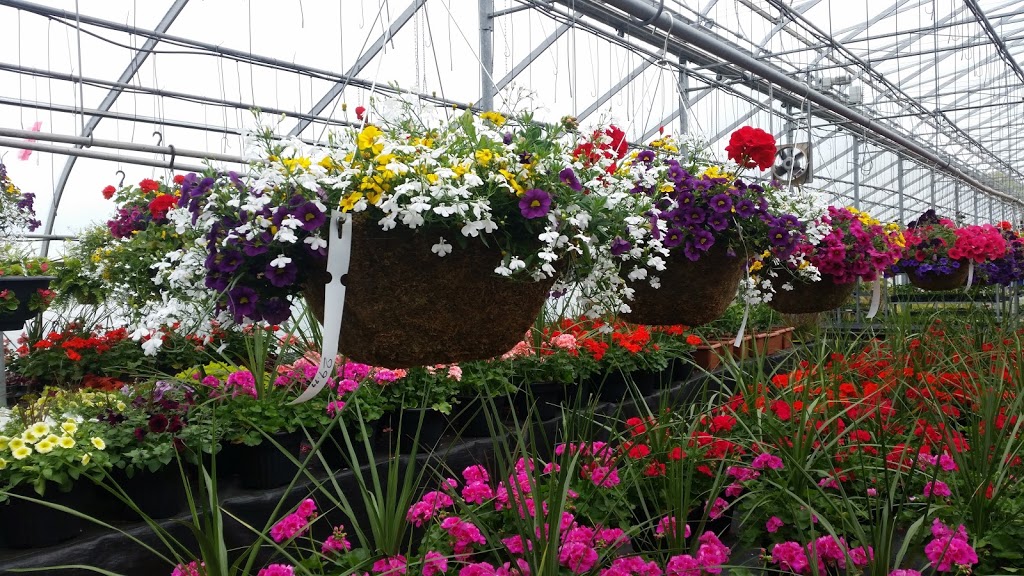 Nature lovers greenhouses | 906 RR 20, Fenwick, ON L0S 1C0, Canada | Phone: (647) 964-3748