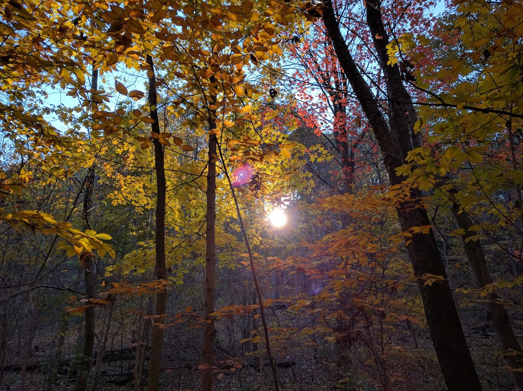 Magwood Park | Lambton Baby Point, Toronto, ON, Canada