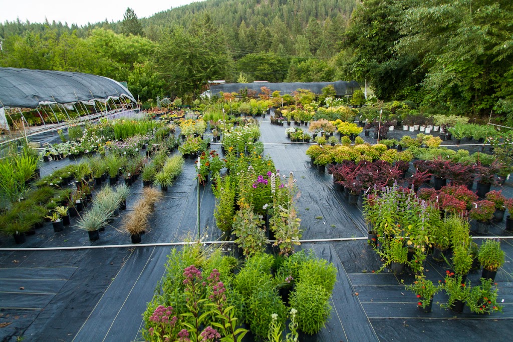 Durands Nursery | 9 Johnson Rd, Christina Lake, BC V0H 1E2, Canada | Phone: (250) 447-6299