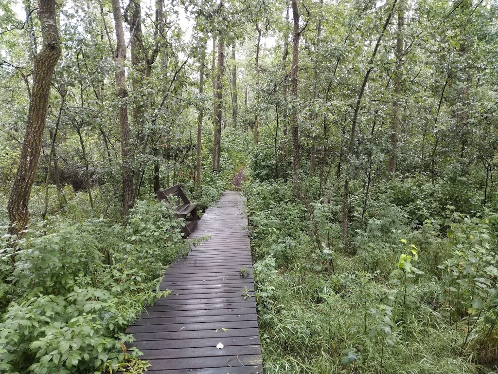 Sherwood Park Natural Area | Strathcona County, AB T8B, Canada