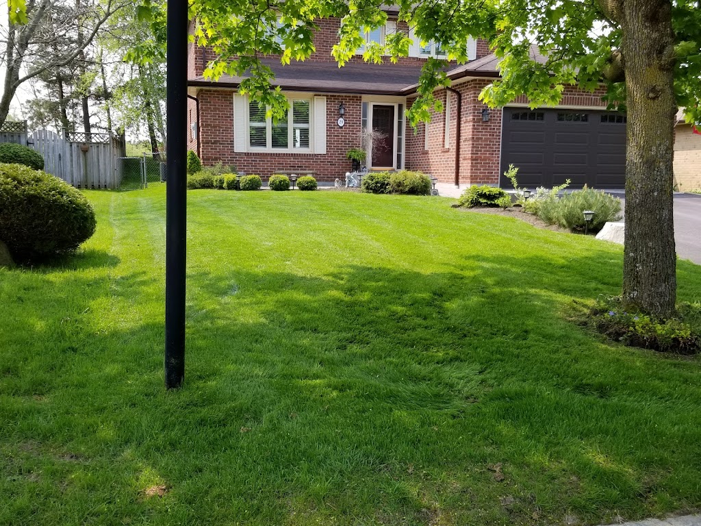 Estate Lawn Care | 10 Gord Matthews Way, Uxbridge, ON L9P 0E9, Canada | Phone: (416) 786-7699