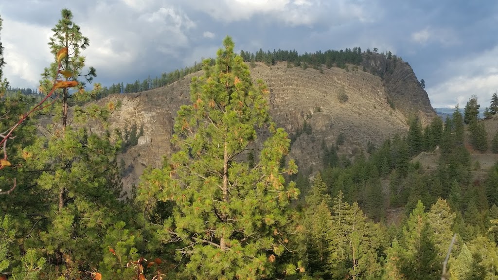 Scenic Canyon Regional Park | 2080 Hollywood Rd S, Kelowna, BC V1X 4P6, Canada