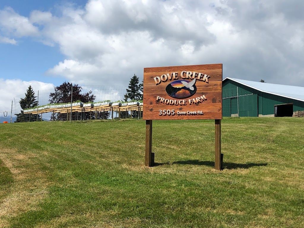 Dove Creek Produce Farm | 3505 Dove Creek Rd, Courtenay, BC V9J 1P3, Canada | Phone: (250) 306-4694