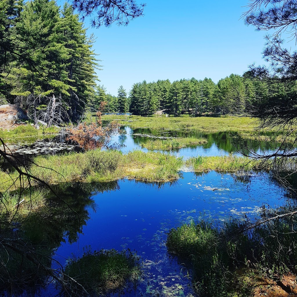 Hardy Lake Provincial Park | Highway 169, Torrance, ON P0C 1M0, Canada | Phone: (705) 756-2746