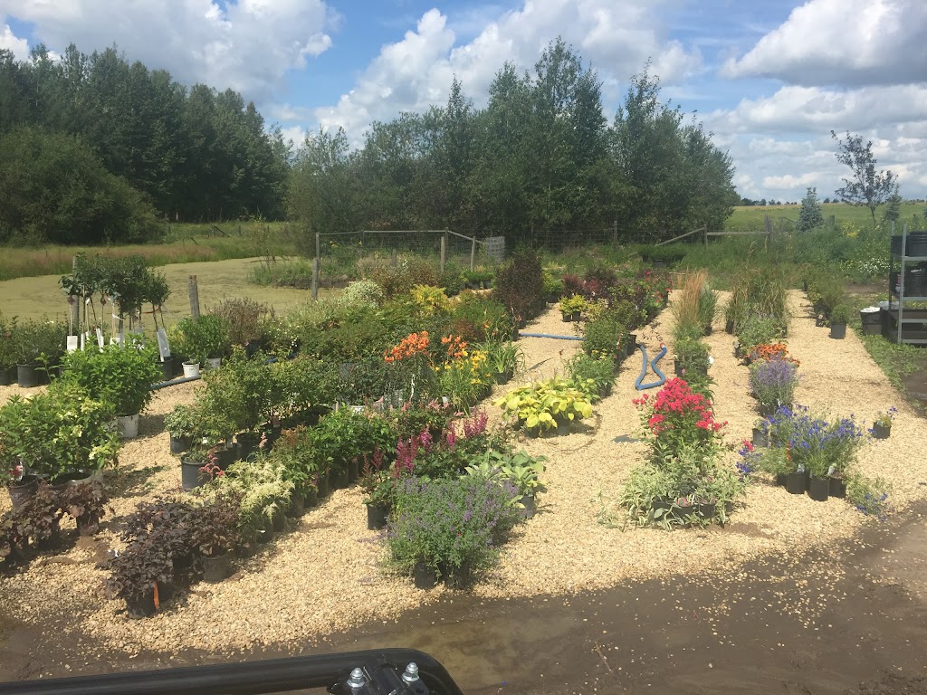 Sherwood Nurseries | 22040 Township Rd 522, Sherwood Park, AB T8E 1G2, Canada | Phone: (587) 409-4442