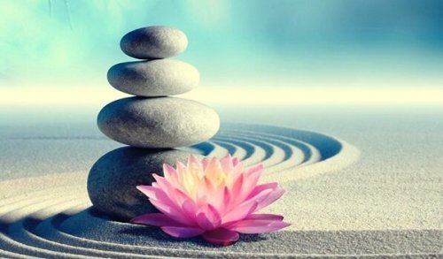 WNY Meditation & Mindfulness | 300 N Forest Rd, Williamsville, NY 14221, USA