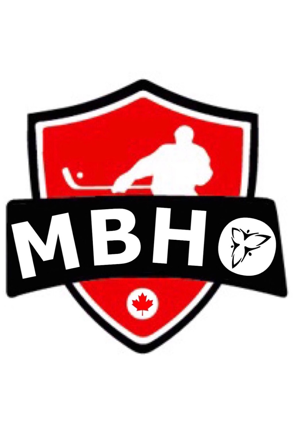 Minor Ball Hockey Ontario | 75 Carl Hall Rd, North York, ON M3K 2B9, Canada | Phone: (289) 923-3599