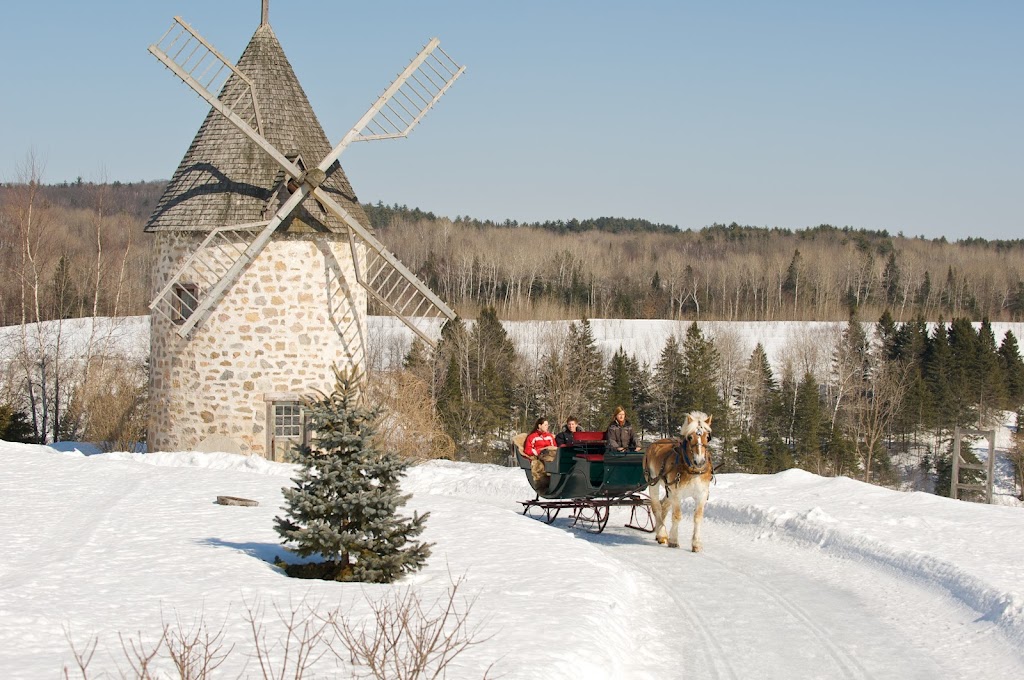 Écurie Le Baluchon | 3550 Chem. des Trembles, Saint-Paulin, QC J0K 3G0, Canada | Phone: (819) 268-2555