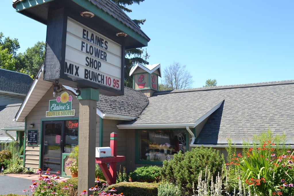 Elaines Flower Shoppe | 5100 Transit Rd, Depew, NY 14043, USA | Phone: (716) 681-4688