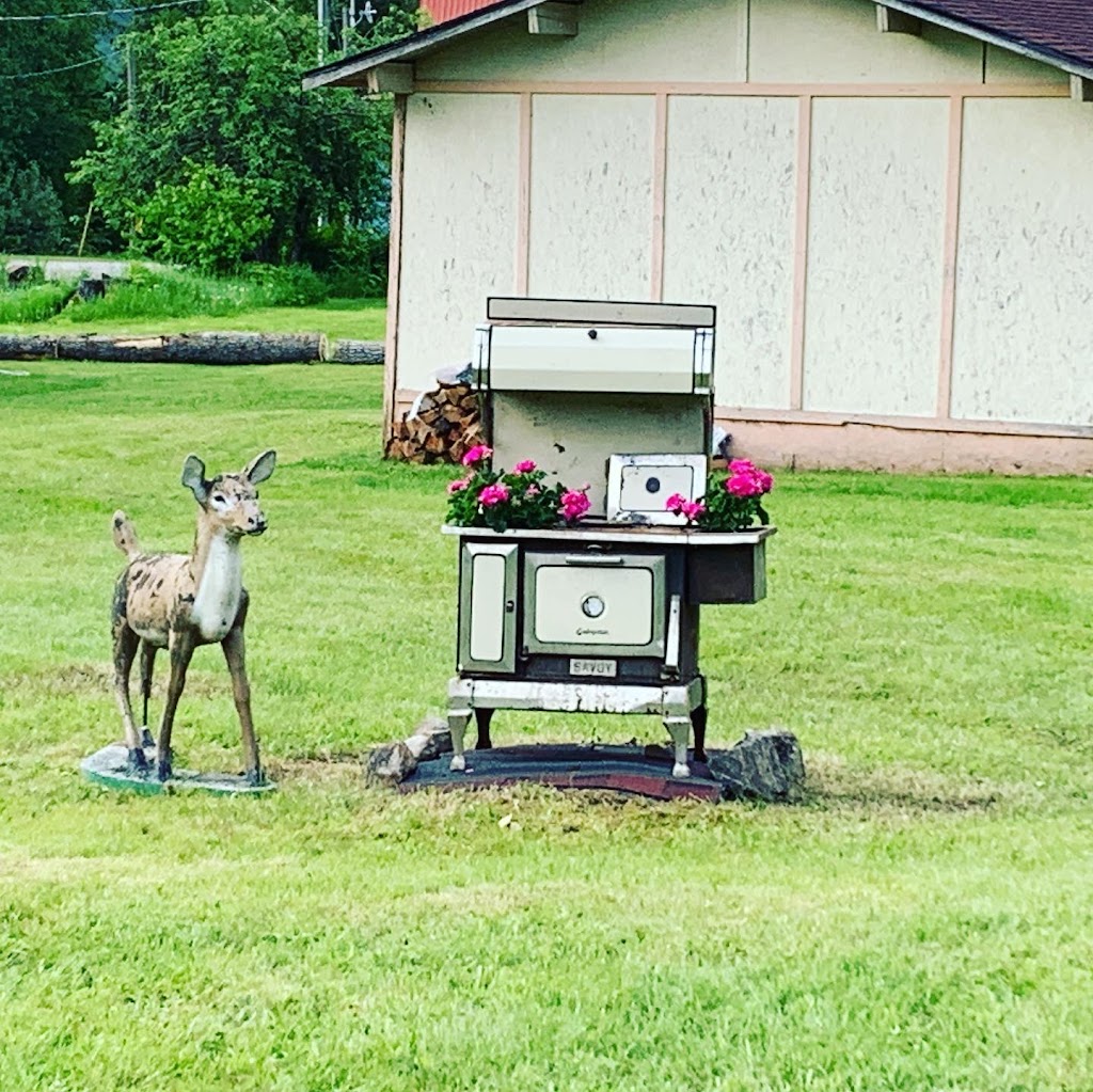 Seymour Arm Campground | 1178 Abbott rd, Seymour Arm, BC V0E 2V0, Canada | Phone: (250) 540-9999