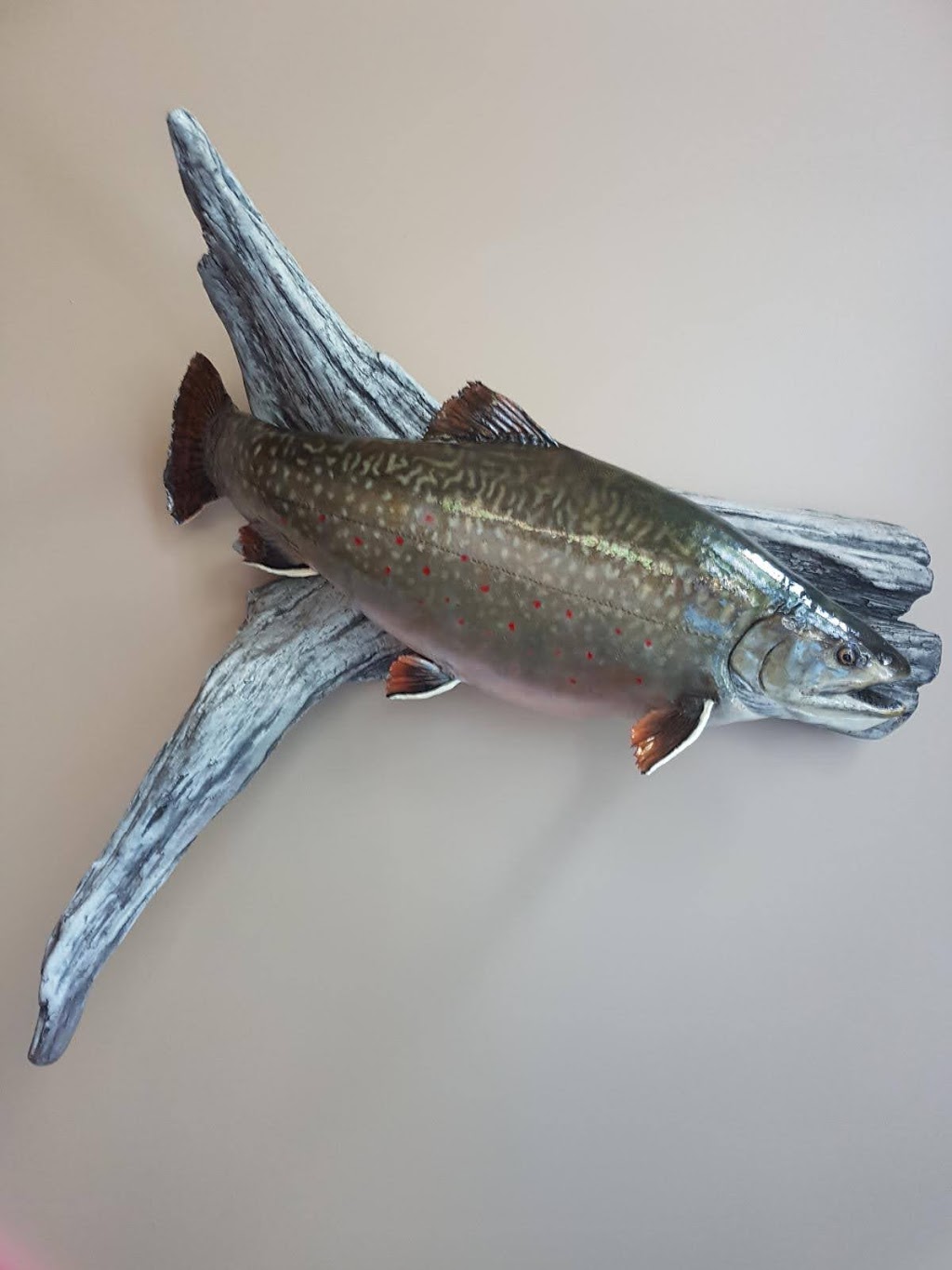 KBtaxidermy | Huntsville, ON P1H 2J4, Canada | Phone: (705) 380-1719