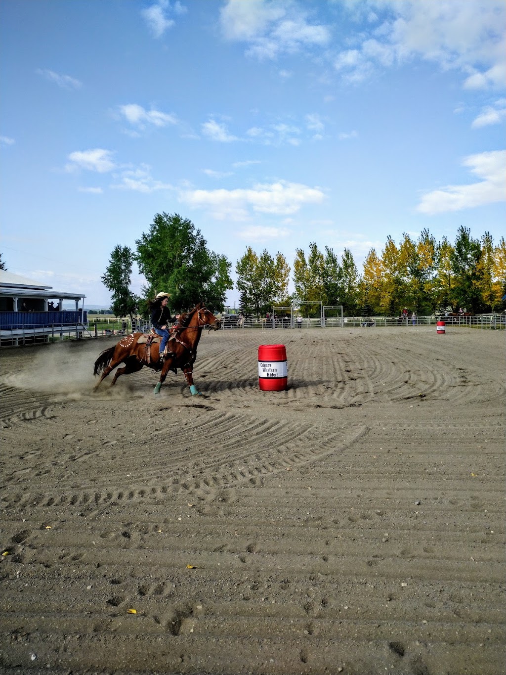 Springbank Equestrian Centre | 25 Robinson Rd, Calgary, AB T3Z 3K6, Canada | Phone: (403) 299-1111