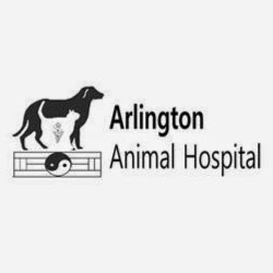 Arlington Animal Hospital | 3010-b Arlington Ave, Saskatoon, SK S7J 2J9, Canada | Phone: (306) 955-8387