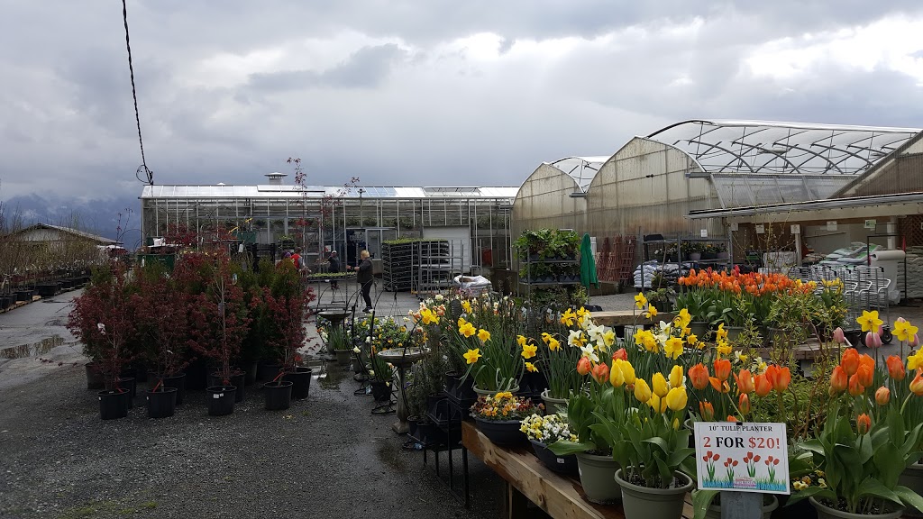 Little Mountain Garden Centre & Florist | 47558 Yale Rd, Chilliwack, BC V2P 7N1, Canada | Phone: (604) 792-4403