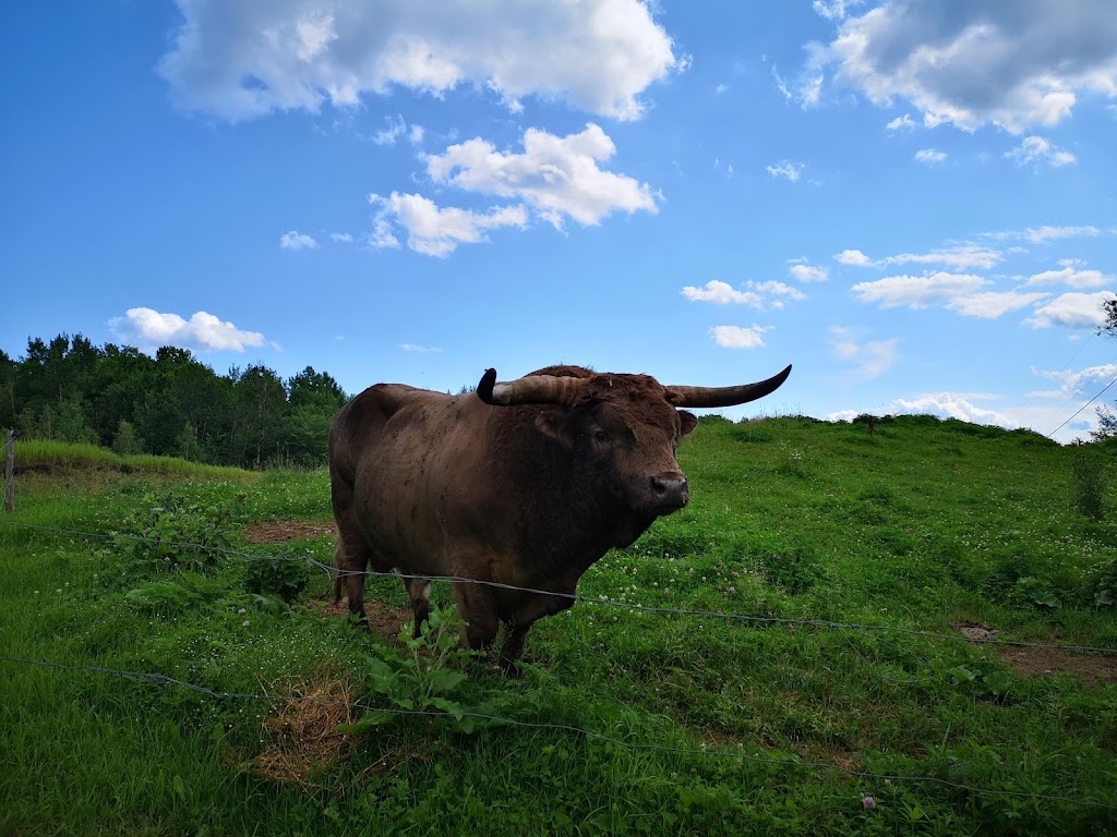 Ferme Badger | 58 Chem. Bailey, Bolton-Ouest, QC J0E 2T0, Canada | Phone: (450) 405-7738