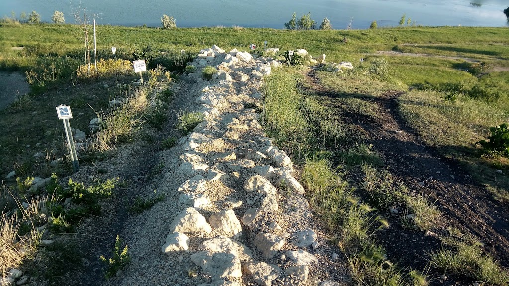 Bison Butte Mountain Bike Course | Tuxedo Industrials, Winnipeg, MB R3P 1J9, Canada | Phone: (204) 989-8355