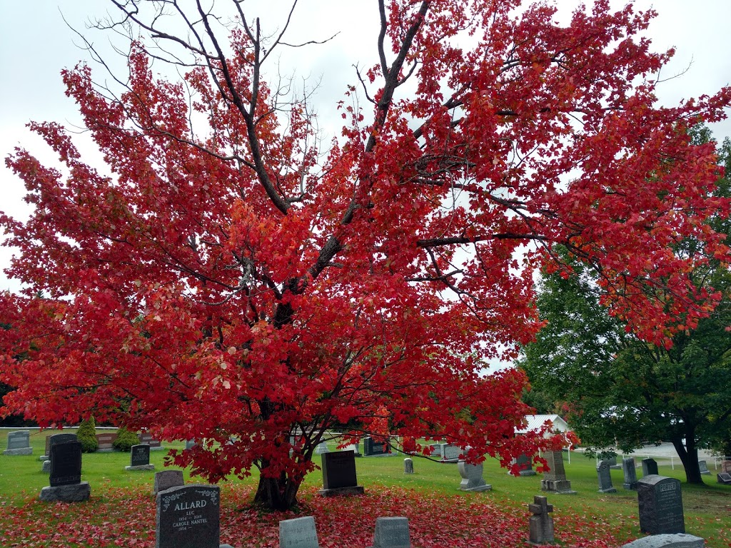 Holy Trinity Anglican Church | 173-191 Chemin Gosford, Irlande, QC G6H 2N7, Canada