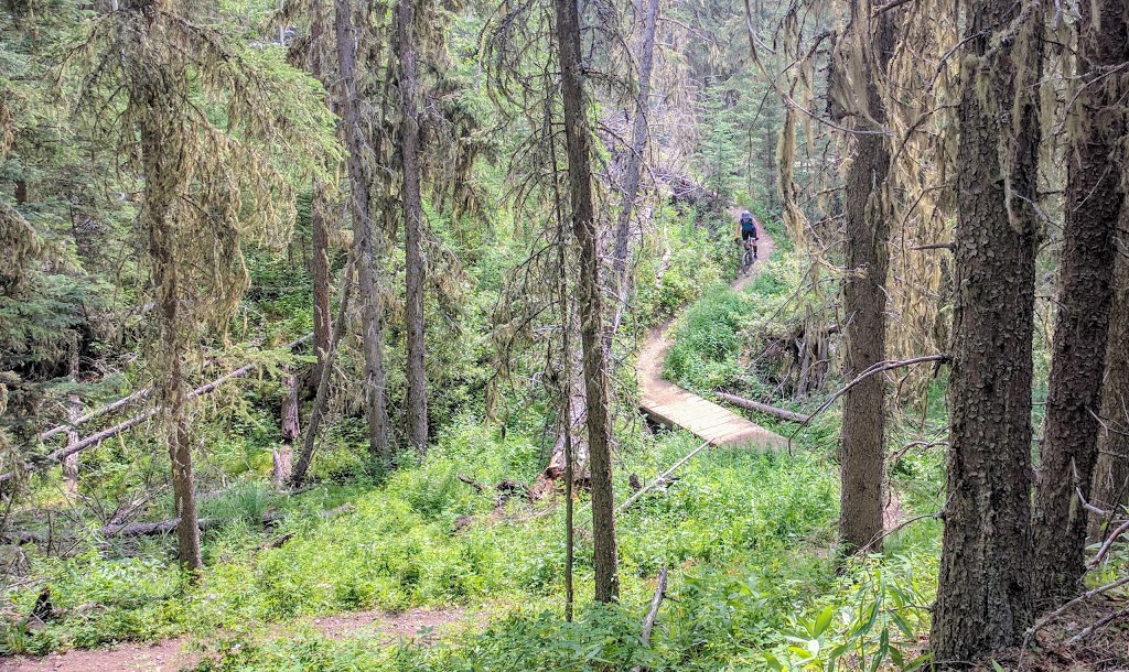 Pinetop Provincial Recreation Area | 0K0, Sibbald Creek Trail, Kananaskis, AB T0L 0K0, Canada