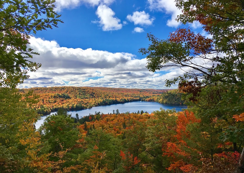 Haliburton Forest & Wild Life Reserve Ltd | 1095 Redkenn Rd, Dysart et al, ON K0M 1S0, Canada | Phone: (800) 631-2198