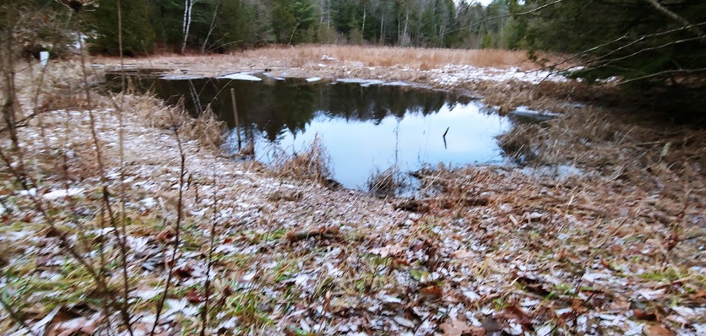 99 Steps | 19th Sideroad, King, ON L3X, Canada