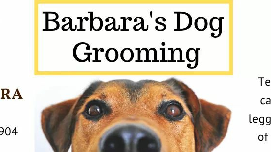 Barbaras Dog Grooming | 8032 Wellington Rd 7, Moorefield, ON N0G 2K0, Canada | Phone: (519) 638-3094