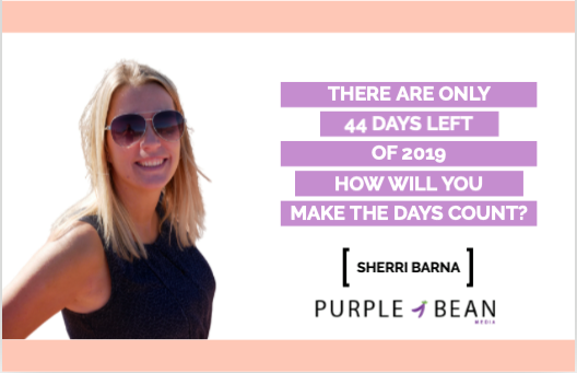 Purple Bean Media | 27 Greenwood Trail, Brantford, ON N3R 6G4, Canada | Phone: (226) 920-9850