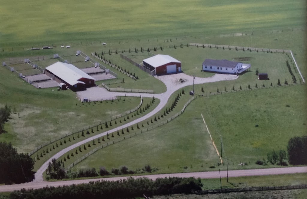 Cowboy Trail Kennels | 42021 Township Rd 274, Alberta T4C 2X8, Canada | Phone: (403) 851-0888