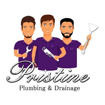 Pristine Plumbing & Drainage Ltd | 9133 Capella Dr, Burnaby, BC V3J 7K4, Canada | Phone: (778) 980-1883