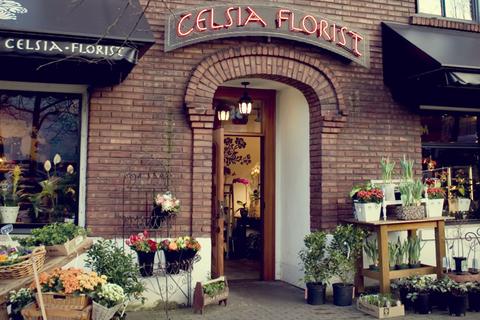 Celsia Florist Vancouver | 1930 Arbutus St, Vancouver, BC V6J 3X7, Canada | Phone: (604) 731-3314