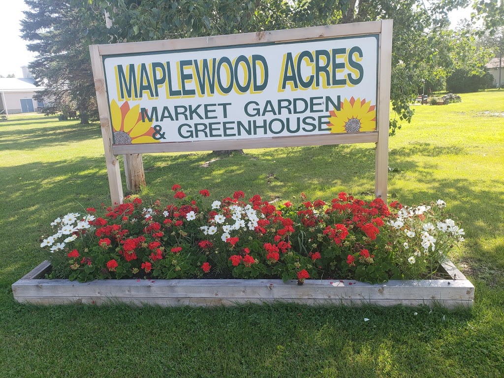 Maplewood Acres Greenhouse | 1 Avenue, Camrose County No. 22, AB T0B 0G0, Canada