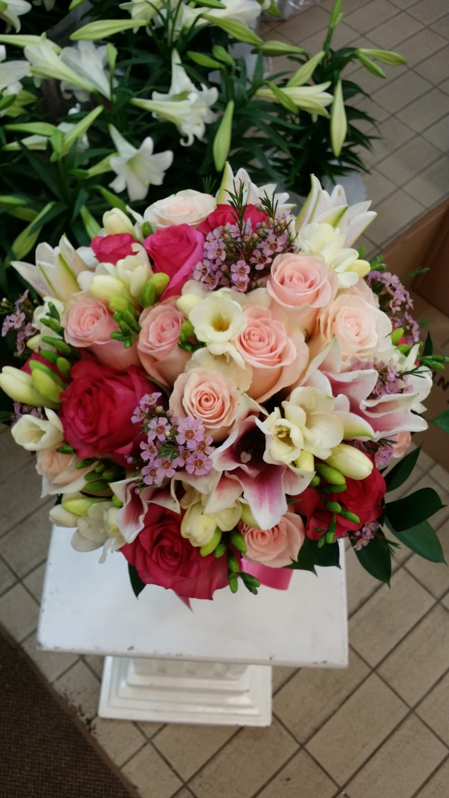 Tom’s Florist | 572 Eglinton Ave W, Toronto, ON M5N 1B7, Canada | Phone: (647) 352-9188