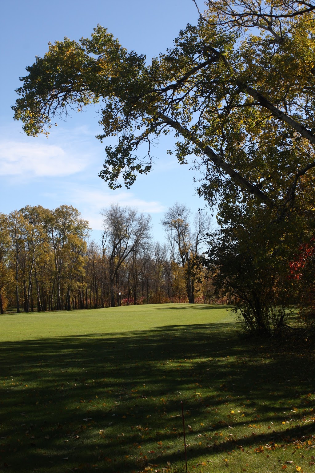 Delahunt Golf & Country Club | Box 149, Treherne, MB R0G 2V0, Canada | Phone: (204) 723-2502