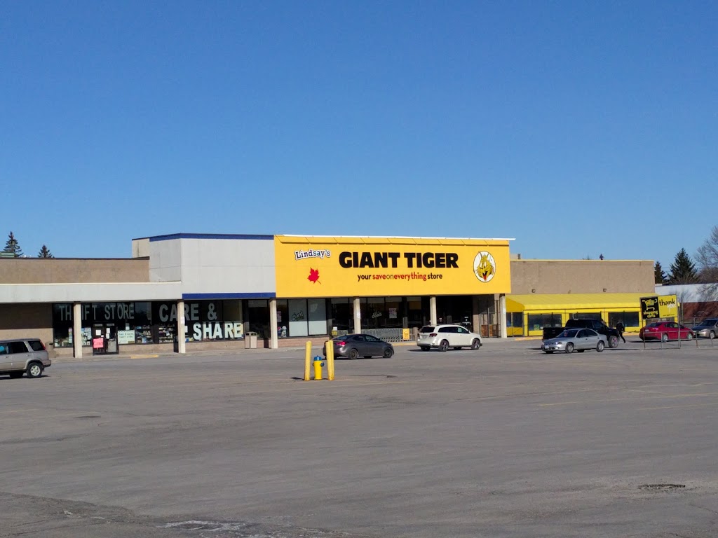 Giant Tiger | 55 Angeline St N, Lindsay, ON K9V 5B7, Canada | Phone: (705) 328-9572