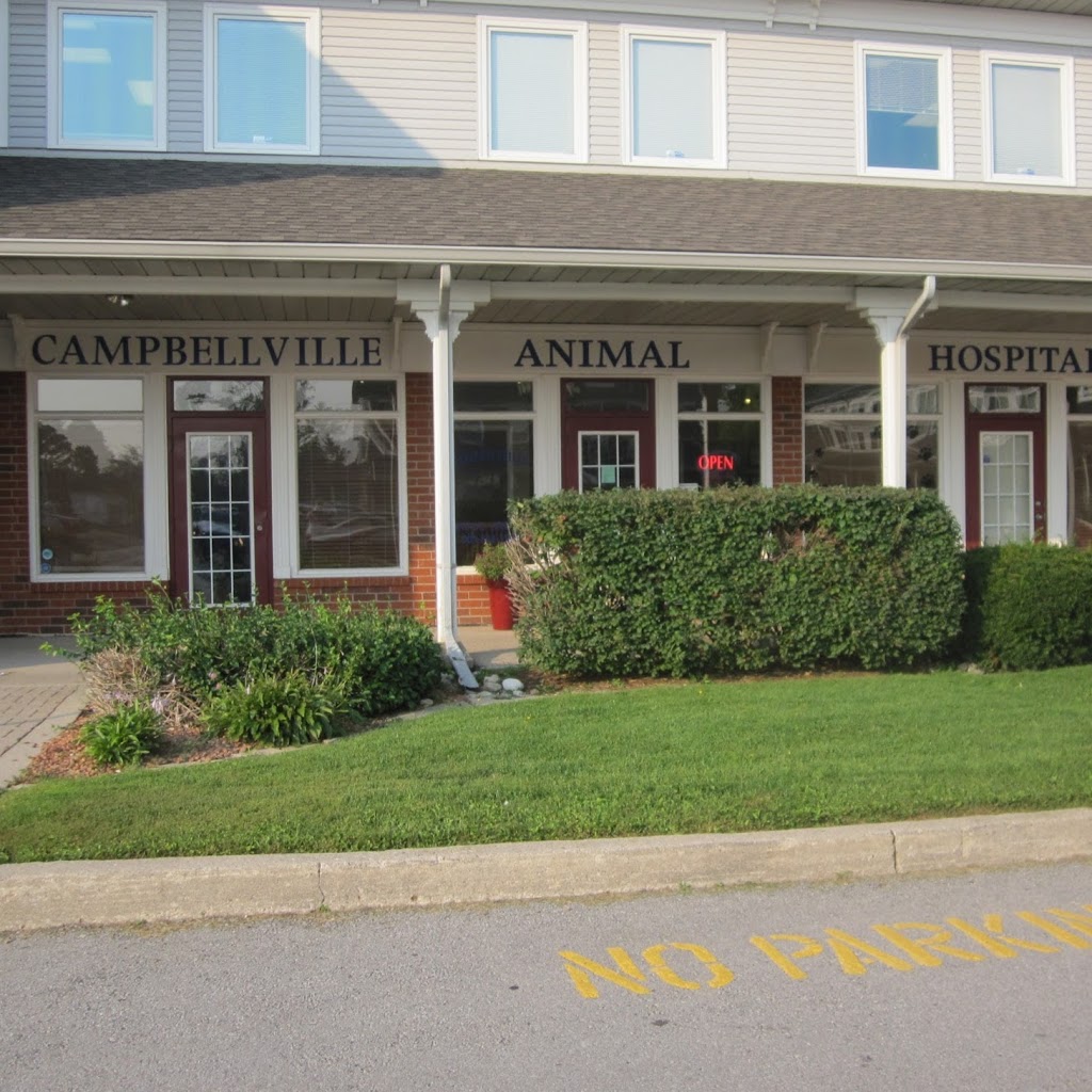 Campbellville Animal Hospital | 35 Crawford Crescent #2, P.O.Box 127, Campbellville, ON L0P 1B0, Canada | Phone: (905) 854-5556