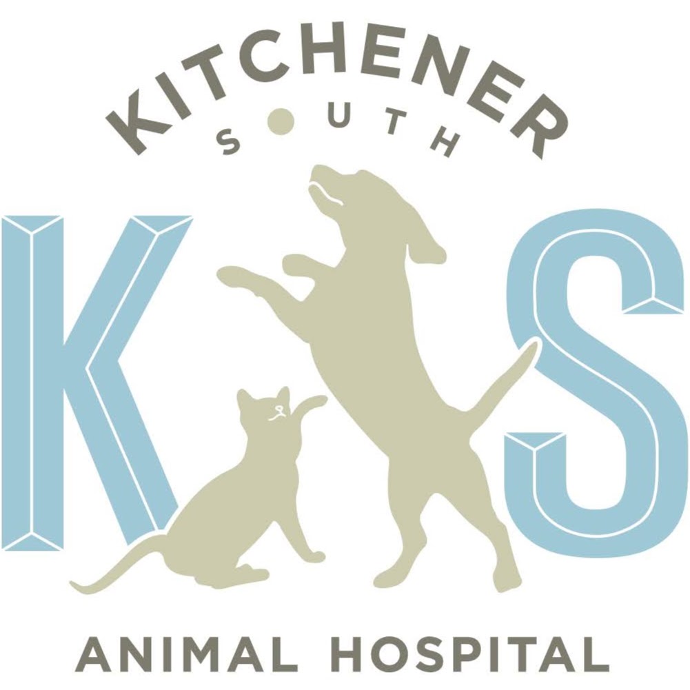 Kitchener South Animal Hospital | 2320 Fischer-Hallman Rd, Kitchener, ON N3A 3E4, Canada | Phone: (519) 696-2120