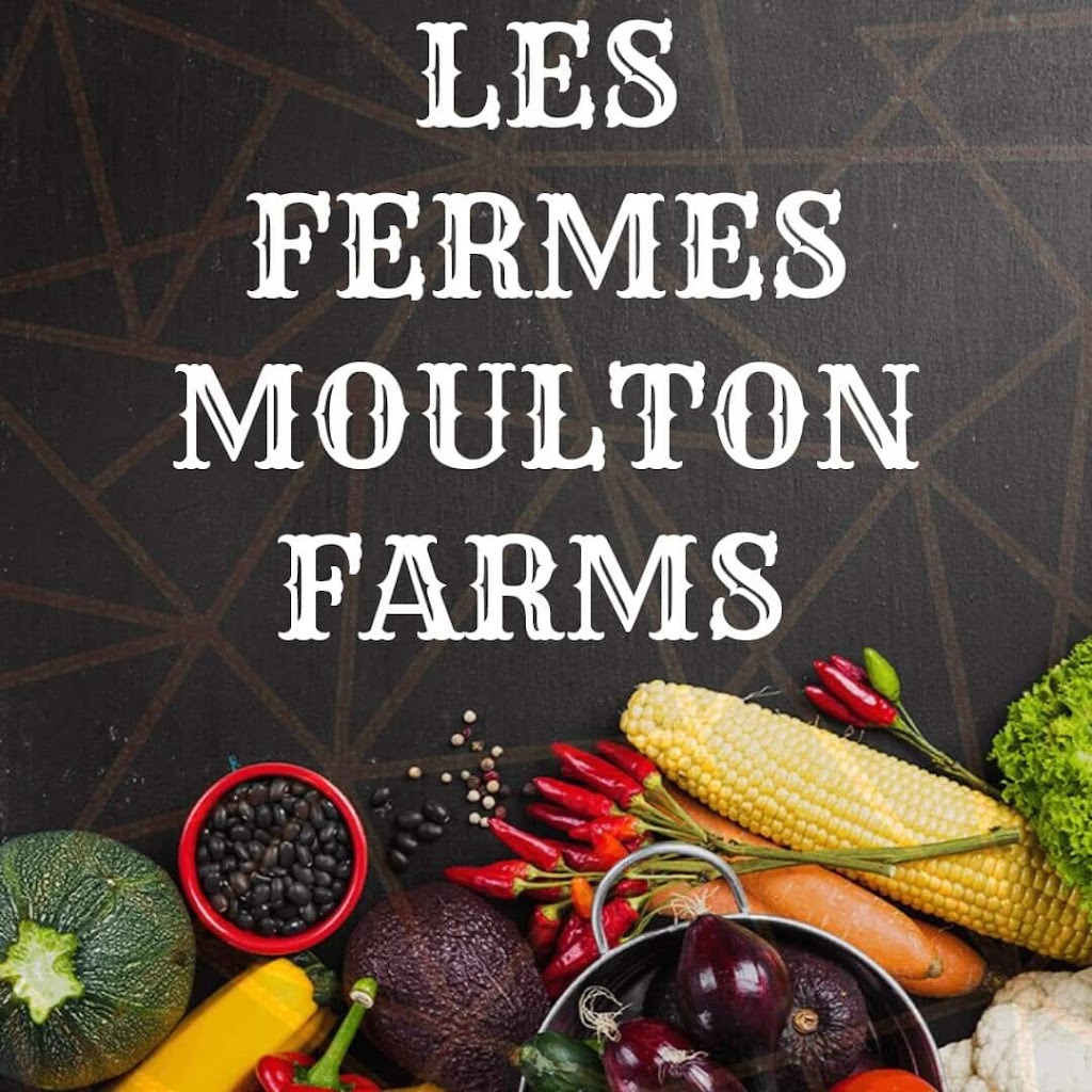 Les Fermes Moulton Farms | 4 202 O, Hemmingford, QC J0L 1H0, Canada | Phone: (438) 881-2843