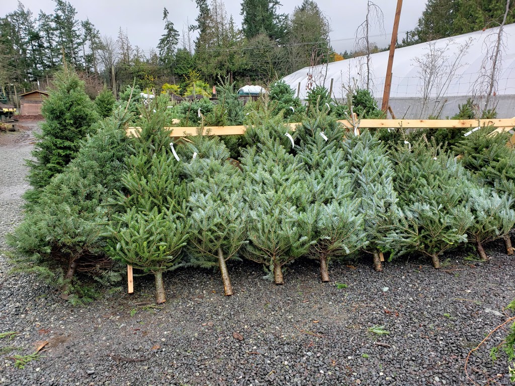 Down To Earth Gardens and Nursery | 1096 Derrien Pl, Victoria, BC V9C 3Y3, Canada | Phone: (250) 391-9366