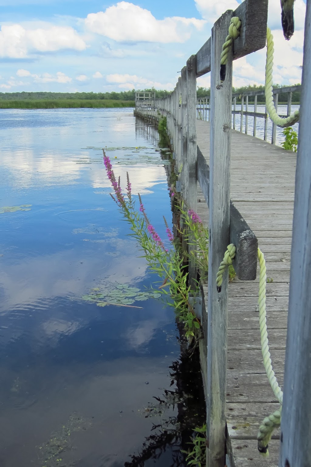 Sentier écologique de la Grande Baie | Unnamed Road, Oka, QC J0N 1E0, Canada