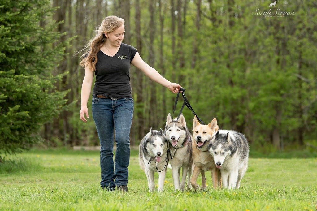 Équi-Canin | 11840 Chem. de la Rivière du N, Mirabel, QC J7N 1H8, Canada | Phone: (450) 275-1772