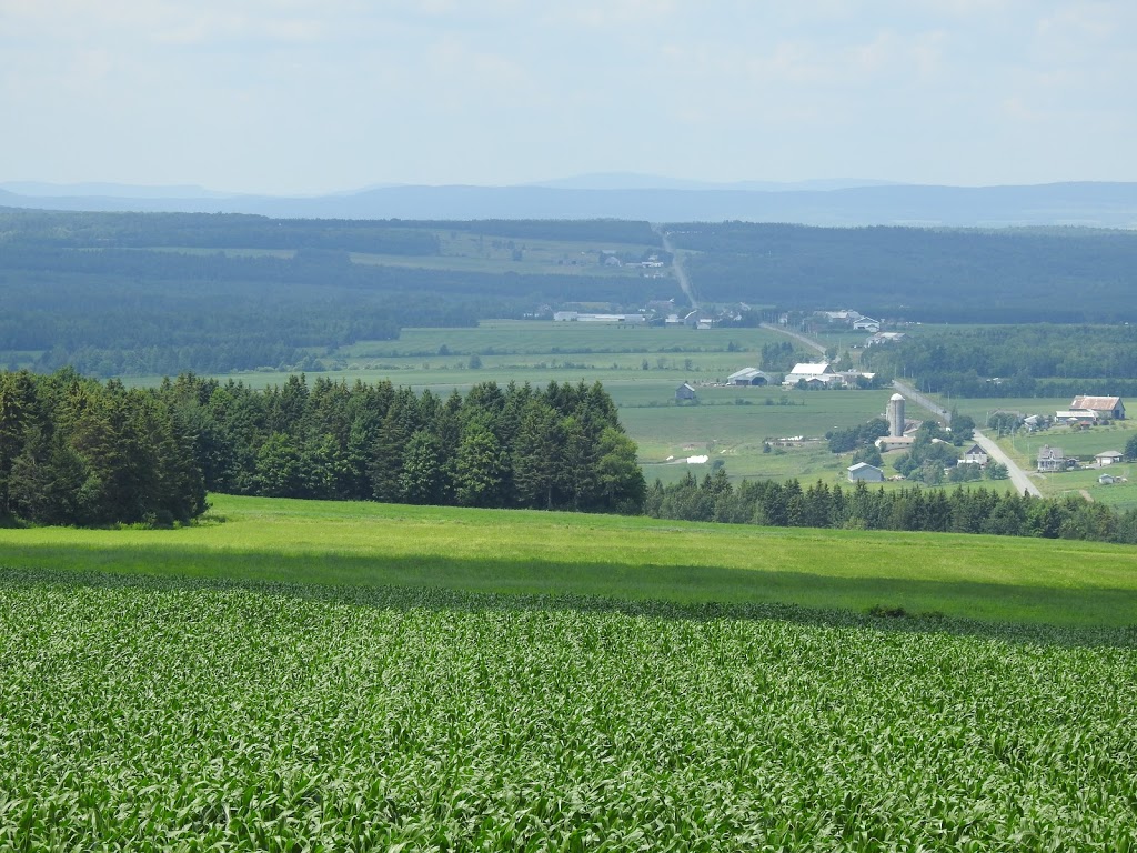 Conseil municipal | 495 Rue Principale, Saint-Évariste-de-Forsyth, QC G0M 1S0, Canada | Phone: (418) 459-6488