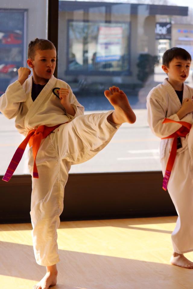 Durham Modern Martial Arts | 605 Brock St N Unit #2, Whitby, ON L1N 8R2, Canada | Phone: (905) 493-1044