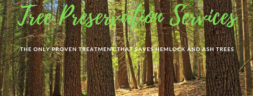 Nova Scotia Tree Preservation Company | 2740 NS-203, Shelburne, NS B0T 1W0, Canada | Phone: (902) 875-7686