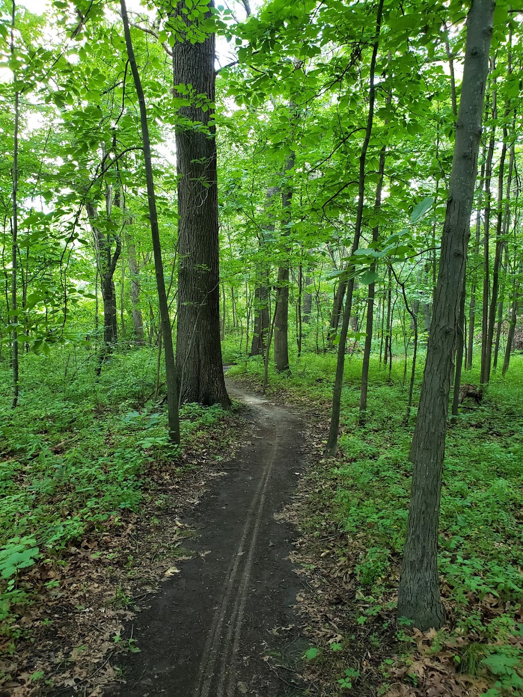 Black Oak Heritage Park | Ojibway Pkwy, Windsor, ON N9A 6S1, Canada | Phone: (519) 255-6267