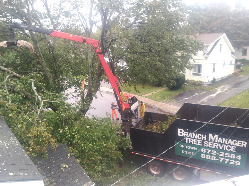 Branch Manager Tree Service | 137 Lady Slipper Dr N, Miscouche, PE C0B 1T0, Canada | Phone: (902) 672-2584