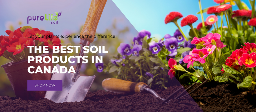 Pure Life Soil | 58 Bertal Rd, York, ON M6M 4M4, Canada | Phone: (416) 769-1428