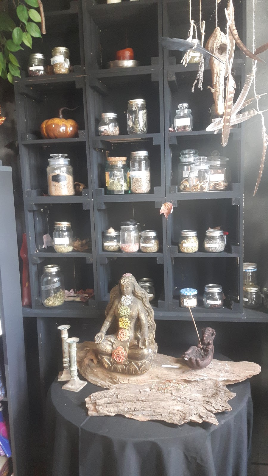 Boutique ésotérique Arcana Cabana | 14 Rue Montplaisir, Trois-Rivières, QC G8T 2Y3, Canada | Phone: (819) 995-4070