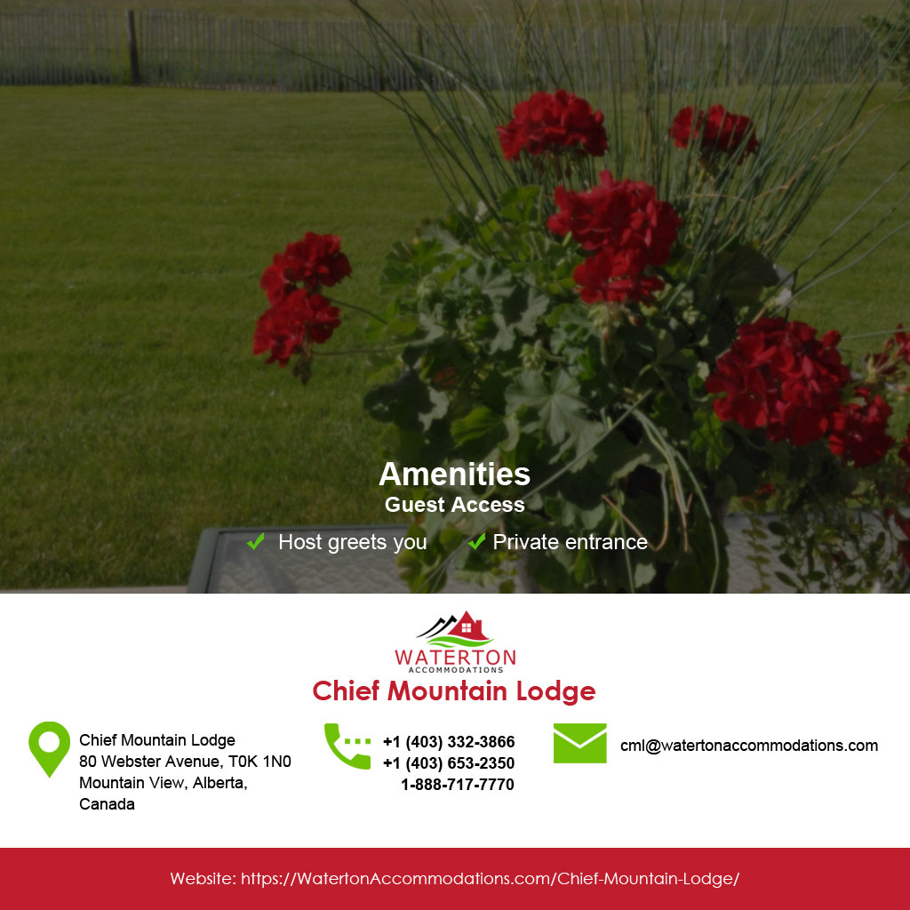 Chief Mountain Lodge | Box 126, 80 Webster Ave, Mountain View, AB T0K 1N0, Canada | Phone: (403) 332-3866